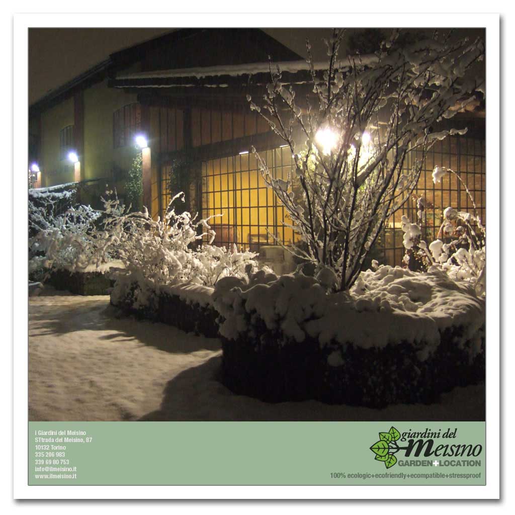 giardini meisino location torino 201
